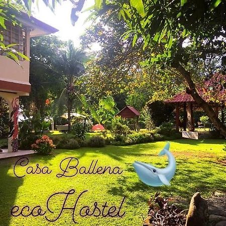 Casa Ballena Eco Hostel อูวีตา ภายนอก รูปภาพ