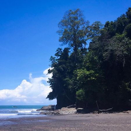 Casa Ballena Eco Hostel อูวีตา ภายนอก รูปภาพ