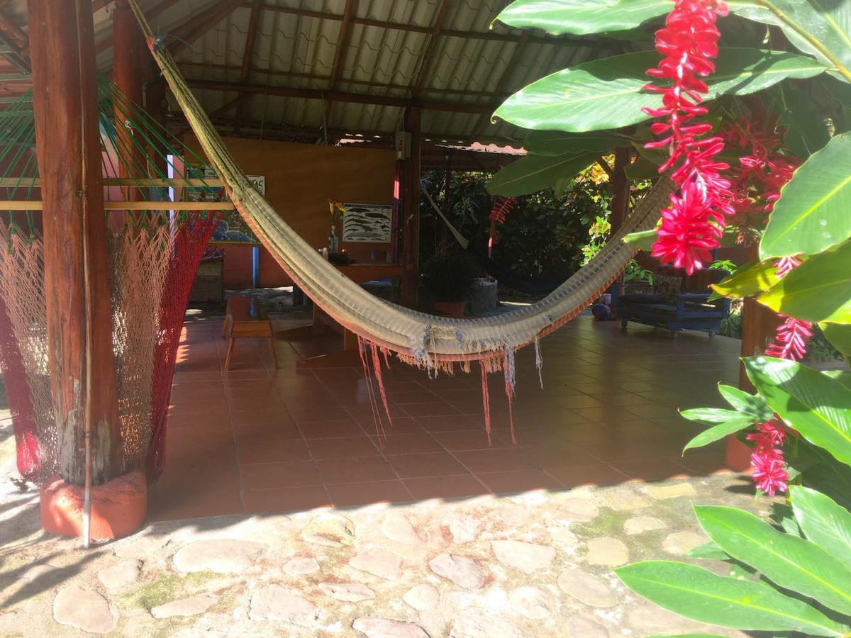 Casa Ballena Eco Hostel อูวีตา ภายนอก รูปภาพ